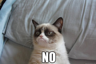 GrumpyCatOL