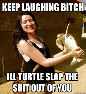 Turtle Slap