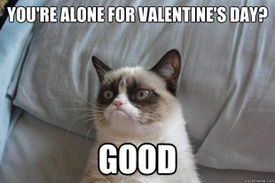 Grumpy Cat
