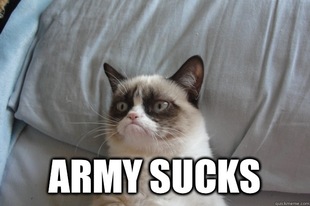 GrumpyCatOL