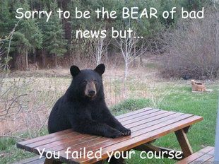 Bear of Bad News