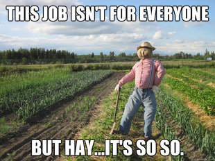 Scarecrow