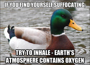 BadBadMallard