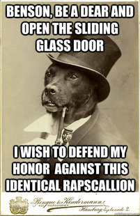 Old Money Dog