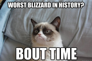Grumpy Cat