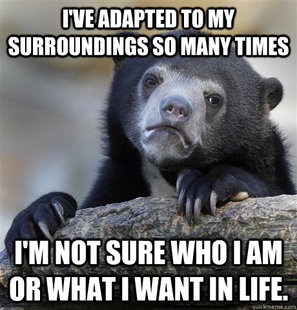 confessionbear