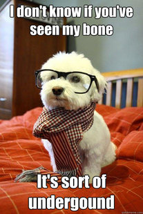 Hipster Dog