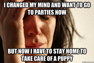 First World Problems