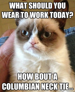 Grumpy cat