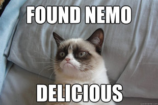 GrumpyCatOL