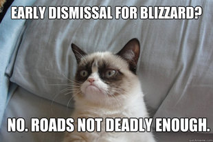 GrumpyCatOL