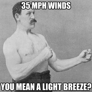 overly manly man