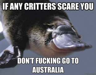 Platypus