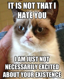 Grumpy cat