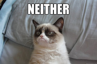 GrumpyCatOL