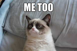 GrumpyCatOL