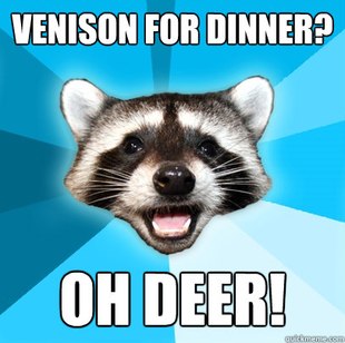 Lame Pun Coon