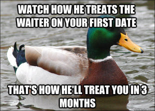 Actual Advice Mallard