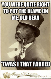 Old Money Dog