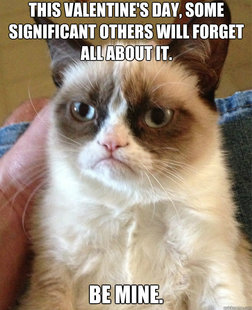 Grumpy Cat