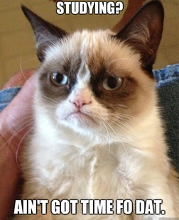 Grumpy Cat