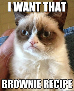 Grumpy Cat