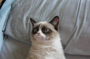 GrumpyCatOL