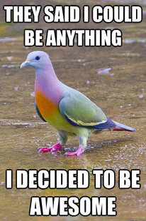 awesome pigeon