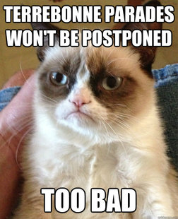 Grumpy Cat