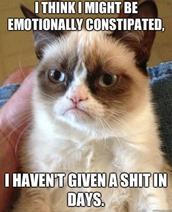 Grumpy Cat