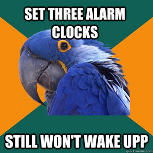 Paranoid Parrot