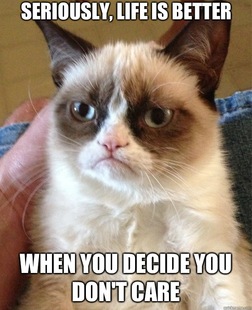 Grumpy Cat