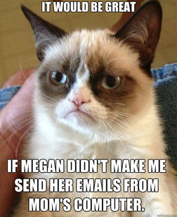 Grumpy Cat