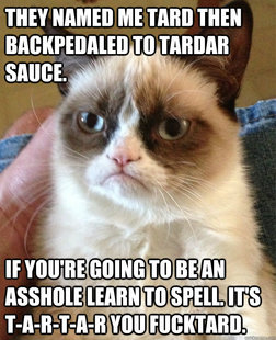 Grumpy Cat