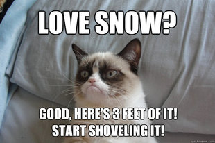 Grumpy Cat