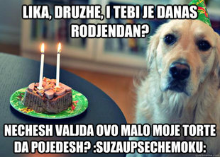 Sad Birthday Dog