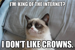 GrumpyCatOL