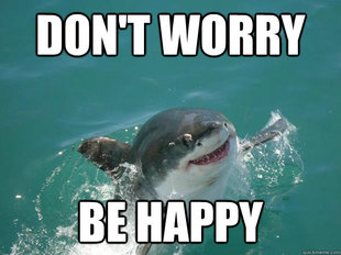 Misunderstood Shark