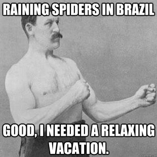 overly manly man