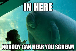 Overlord Manatee