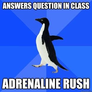 Socially Awkward Penguin