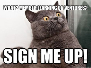 conspiracy cat