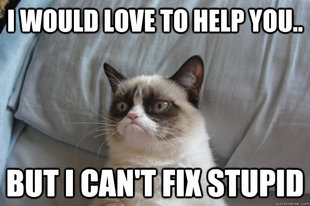 Grumpy Cat
