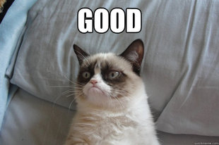 GrumpyCatOL