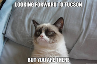 GrumpyCatOL