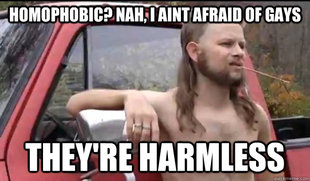 Almost Politically Correct Redneck