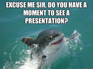 Misunderstood Shark