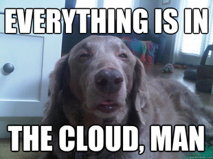 10 Dog