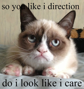 Grumpy cat