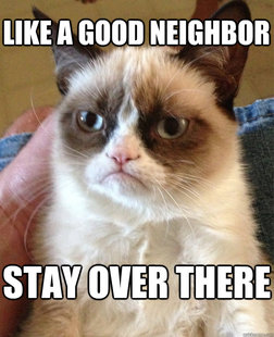 Grumpy Cat